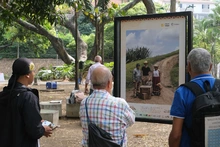 Exposición fotográfica Barrio Adentro