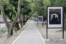 Exposición fotográfica Barrio Adentro