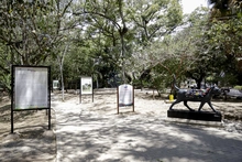 Exposición fotográfica Barrio Adentro