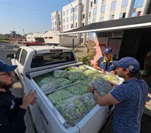 Soluciones Alimenticias para los beneficiarios del Plan Jarillón