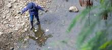 Limpieza de fuentes hídricas contribuye a controlar el dengue