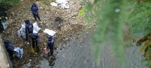 Limpieza de fuentes hídricas contribuye a controlar el dengue