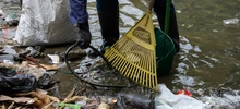 Limpieza de fuentes hídricas contribuye a controlar el dengue