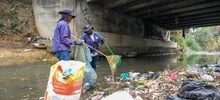 Limpieza de fuentes hídricas contribuye a controlar el dengue