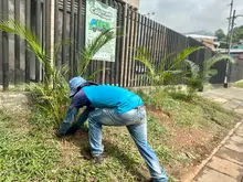 En la Comuna 20, la Alcaldía recuperó punto impactado por residuos