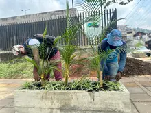 En la Comuna 20, la Alcaldía recuperó punto impactado por residuos