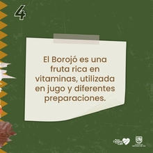 8 datos que debes saber del Pacífico