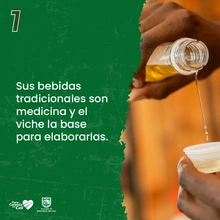8 datos que debes saber del Pacífico