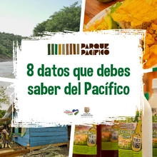 8 datos que debes saber del Pacífico
