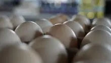 Inflación en Cali se desacelera por quinto mes consecutivo 