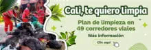 Plan especial de limpieza en 49 corredores viales