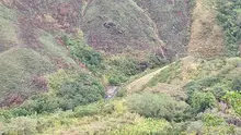 Dagma acompaña formulación del Plan de Manejo en ecoparque Aguacatal