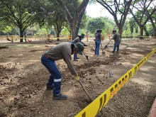 Avanza recuperación de zonas blandas en Parque de El Ingenio