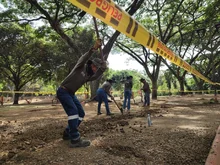 Avanza recuperación de zonas blandas en Parque de El Ingenio