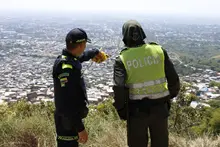Avanzamos en la restitución del cerro la antena: Alcaldía de Cali