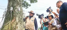A Cali, buena sombra la cobija