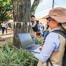 A Cali, buena sombra la cobija