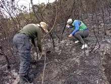 Dagma realizó verificación de afectaciones tras incendio en cerro La Bandera