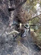 Dagma realizó verificación de afectaciones tras incendio en cerro La Bandera
