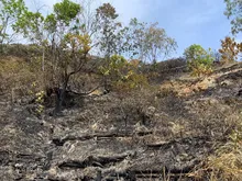Dagma realizó verificación de afectaciones tras incendio en cerro La Bandera