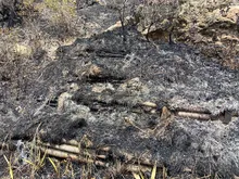 Dagma realizó verificación de afectaciones tras incendio en cerro La Bandera
