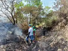 Dagma realizó verificación de afectaciones tras incendio en cerro La Bandera