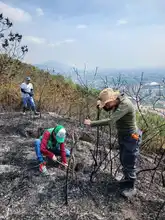 Dagma realizó verificación de afectaciones tras incendio en cerro La Bandera