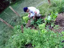 La Gracia de Dios: un comedor que construye tejido en su comunidad