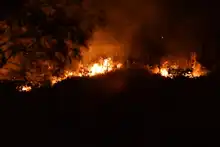 Más de 300 personas ayudaron a controlar incendio en el norte de Cali