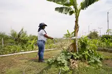 Soplan ‘Vientos de Libertad’ en Llano Verde