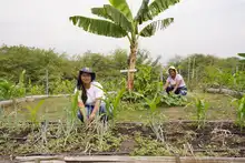 Soplan ‘Vientos de Libertad’ en Llano Verde