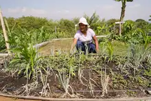 Soplan ‘Vientos de Libertad’ en Llano Verde