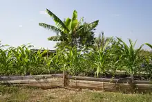 Soplan ‘Vientos de Libertad’ en Llano Verde
