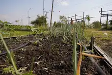Soplan ‘Vientos de Libertad’ en Llano Verde