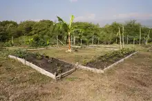 Soplan ‘Vientos de Libertad’ en Llano Verde