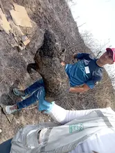 Incendios forestales arrasan la vida y desplazan la fauna en montañas de Cali