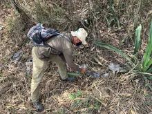 Incendios forestales arrasan la vida y desplazan la fauna en montañas de Cali