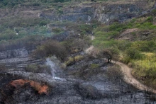 Alentadora jornada para sofocar incendio forestal