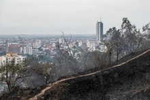 Alentadora jornada para sofocar incendio forestal