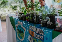 Cali siembra esperanza con el Tercer Encuentro Distrital de Huertas