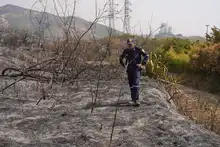“No existen incendios espontáneos, es inadmisible que tengamos estas conductas sociópatas”: Secretario de Gestión del Riesgo de Cali