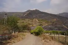 “No existen incendios espontáneos, es inadmisible que tengamos estas conductas sociópatas”: Secretario de Gestión del Riesgo de Cali