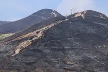 “No existen incendios espontáneos, es inadmisible que tengamos estas conductas sociópatas”: Secretario de Gestión del Riesgo de Cali