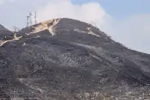 “No existen incendios espontáneos, es inadmisible que tengamos estas conductas sociópatas”: Secretario de Gestión del Riesgo de Cali