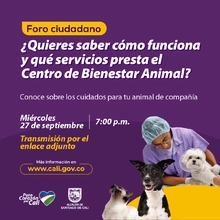 ¿Conoces los servicios del Centro de Bienestar Animal? Entérate en nuestro  Foro Ciudadano