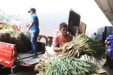 En Cali, las plazas de mercado se enfocan hacia la gestión empresarial y el mercadeo 