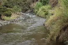 Dagma hace recorridos para evaluar condiciones del agua en el río Cali y sus afluentes