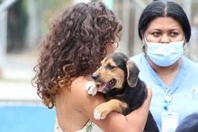 La solidaridad también es una expresión de amor