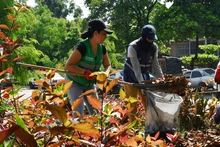 Avenida Ciudad de Cali se liberó de 20 toneladas de residuos