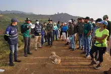 Cali se levanta para sanar las heridas del fuego en el cerro Altos de Menga
